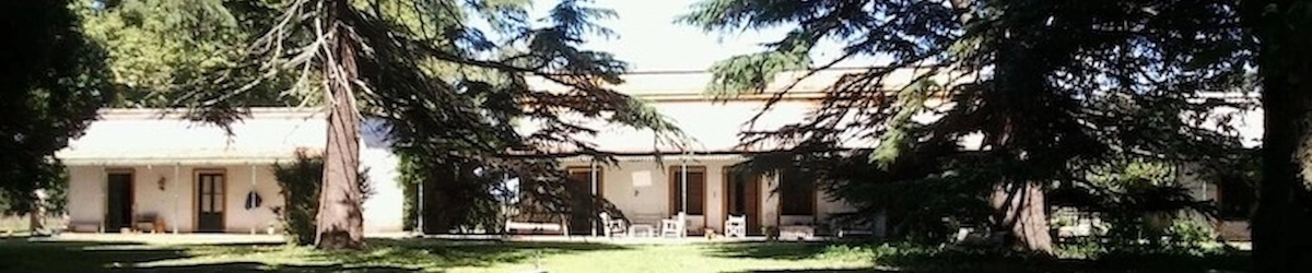 Imagen del sitio